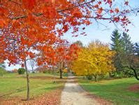 Image result for Header Files Flowchart