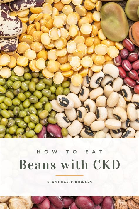 Beans & Kidney Disease - Plant Based Kidneys