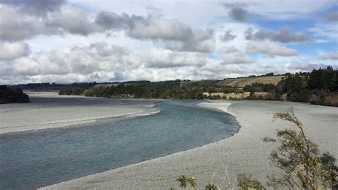 Image result for Springfield NZ