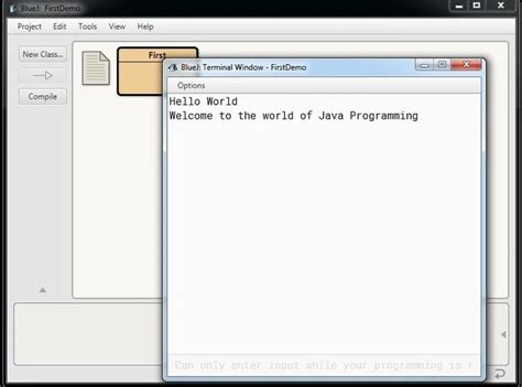 Image result for Catprinter BlueJ Java
