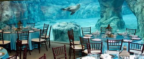 Image result for Java Rooftop Restaurant