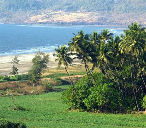 Kokan Darshan - Car on Rent Kolhapur | Self-Drive Car Rentals | Travels ...