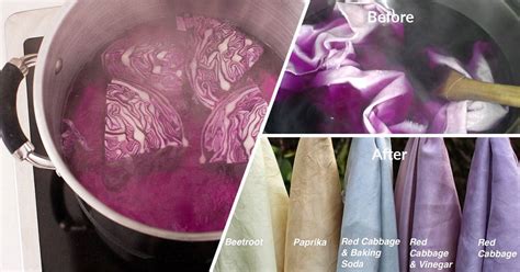 Image result for Homemade Dye
