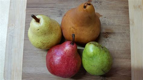 Types Of Pears