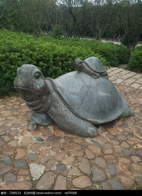 乌龟雕像高清图片下载_红动网