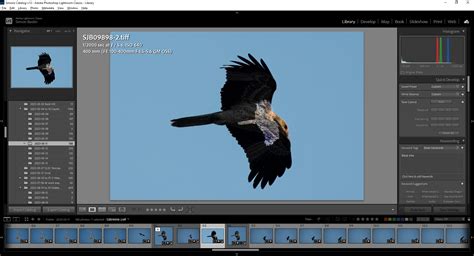 Topaz Mask Tutorial 的图像结果