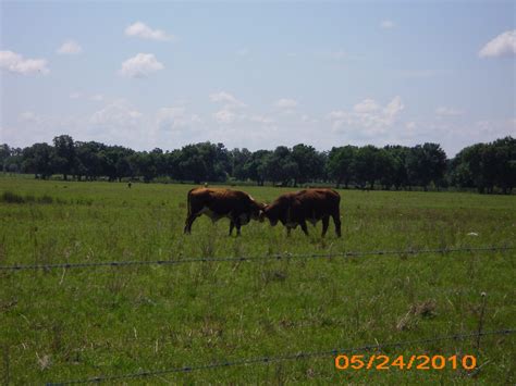 Gallery | Hardee County Property Appraiser