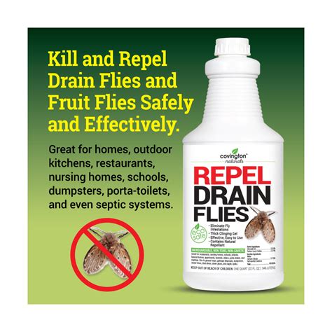 What Spray Kills Drain Flies at Harold Case blog