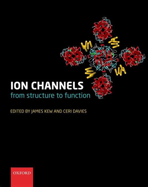 Buy Ion Channels: From Structure to Function Book Online at Low Prices ...