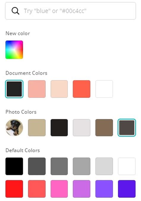 How To Use Canva: A Simple Guide To The Graphic Design Platform - Tech