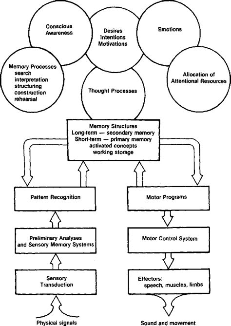 Cognitive Science 的图像结果