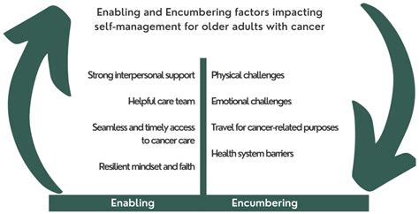 A Survey of Older Adults’ Self-Managing Cancer