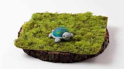 Image result for Sculpey Turtle Tutorial