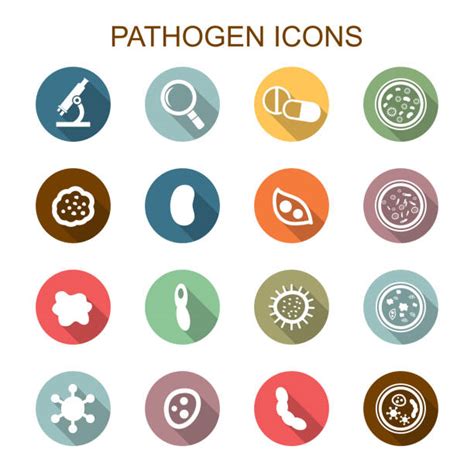 Image result for Pathogen No Background