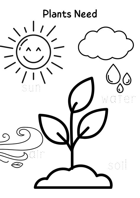 Basic Needs Of Plant tracing worksheet | Plant activities, Plants worksheets, Preschool coloring ...