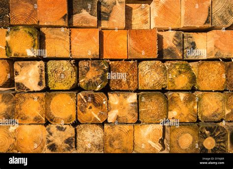 Image result for Cut Copy Posts