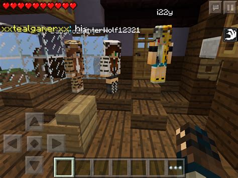 Image result for Lifeboat Server IP Java