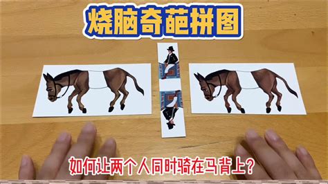 解密双马骑士拼图，如何让两个人，同时骑在两匹马的马背上？_高清1080P在线观看平台_腾讯视频