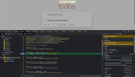 Debugging Angular Project 的图像结果