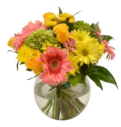 Floral Double Bubble - Traditional - Shop Flowers & arrangements at H-E-B