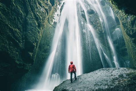 Image result for Python vs Beauty