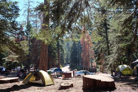Guide to Sunset Campground, Sequoia and Kings Canyon National Parks ...