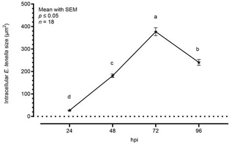 Thyme, Oregano, and Garlic Essential Oils and Their Main Active ...