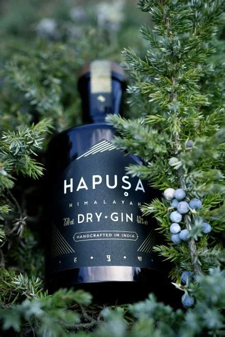 32 made in India gins to add to your bar | Condé Nast Traveller India