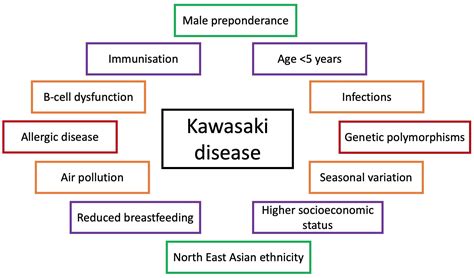 Frontiers | Kawasaki disease and the environment: an enigmatic interplay