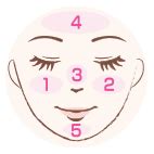 Canmake Face Brush face Brush - buy online from Japan