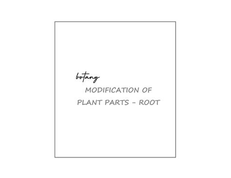 Image result for Root Modification Class 5