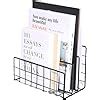 CentraLit Organizer Magazine File Holder Modern Desk, 3 Slot Modern ...