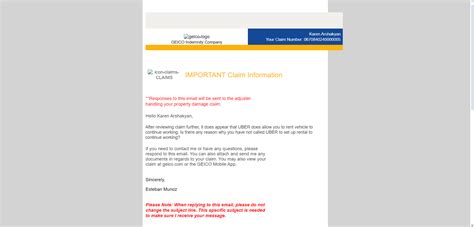 GEICO Problems 的图像结果