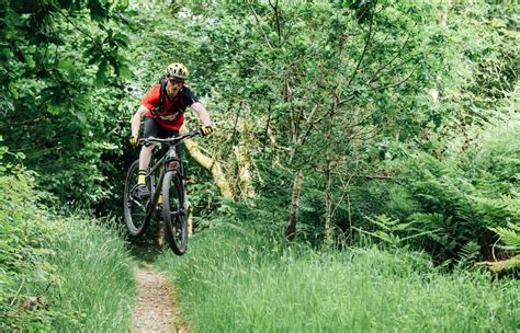 MTB Bunny Hop Tutorial 的图像结果