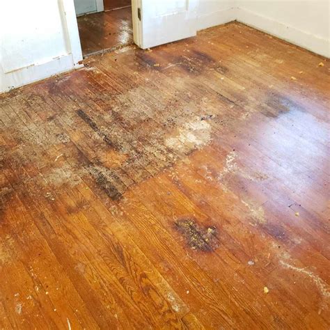 Remove Adhesive from Hardwood Floor: Easy & Effective Methods