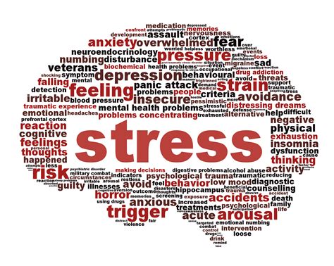 stress management – Alan Fitness: Personal Trainer and Wellness Coach
