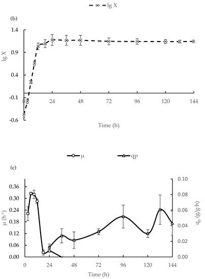 Large-Scale Production of Isocitric Acid Using Yarrowia lipolytica ...