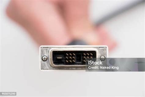 Image result for DVI Digital Visual Interface