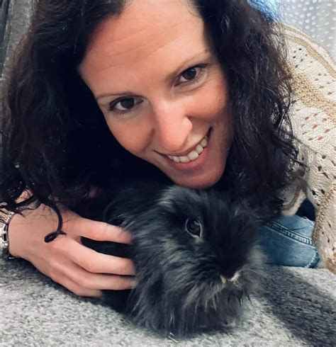 Rabbit Training 的图像结果