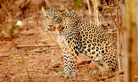 Nature, Art & Travel Photography Services in Hyderabad | Telangana ...