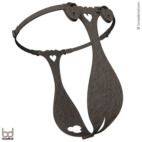 enchasté: Chapter 1: What are modern female chastity belts all about?