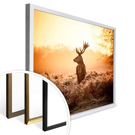 Poster majestic deer | wall-art.com