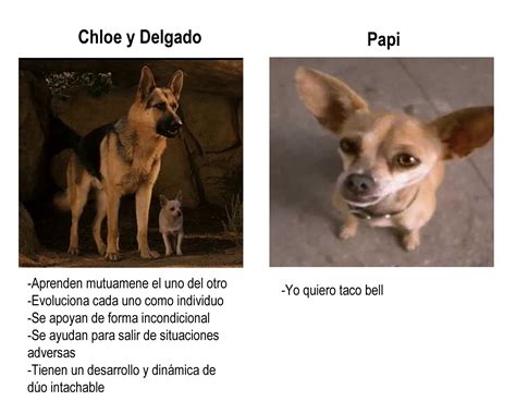 Beverly Hills Chihuahua Delgado Fanfiction