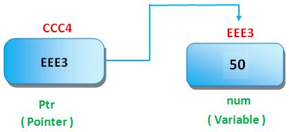 Pointer in C - C Tutorial