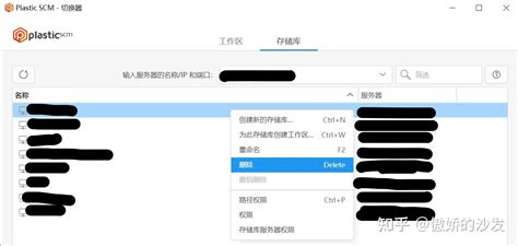 Setting Up Unity Plastic SCM 的图像结果