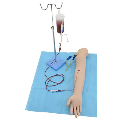 Buy Venipuncture Practice Arm, Injection/Blood Drawing/Infusion ...