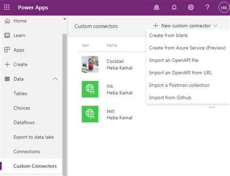Open API Custom Connector in Power App 的图像结果
