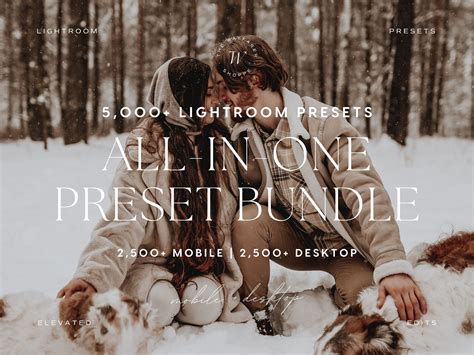 5000+ All-in-one Lightroom Preset Bundle Aesthetic Snow Presets ...