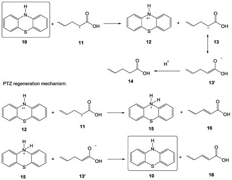 Inhibition of Free Radical Polymerization: A Review