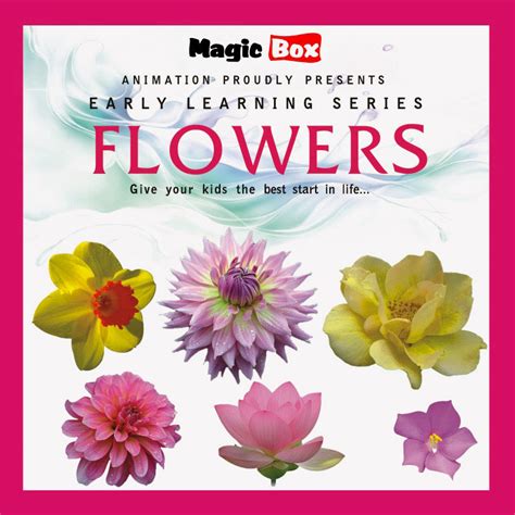 Flowers – Magicbox Animation Private Limited